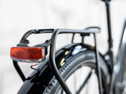 Trek Allant+ 7 Stagger