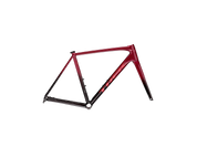 Trek Émonda ALR Disc Frame Set