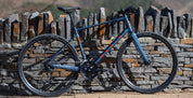 Marin Fairfax 3