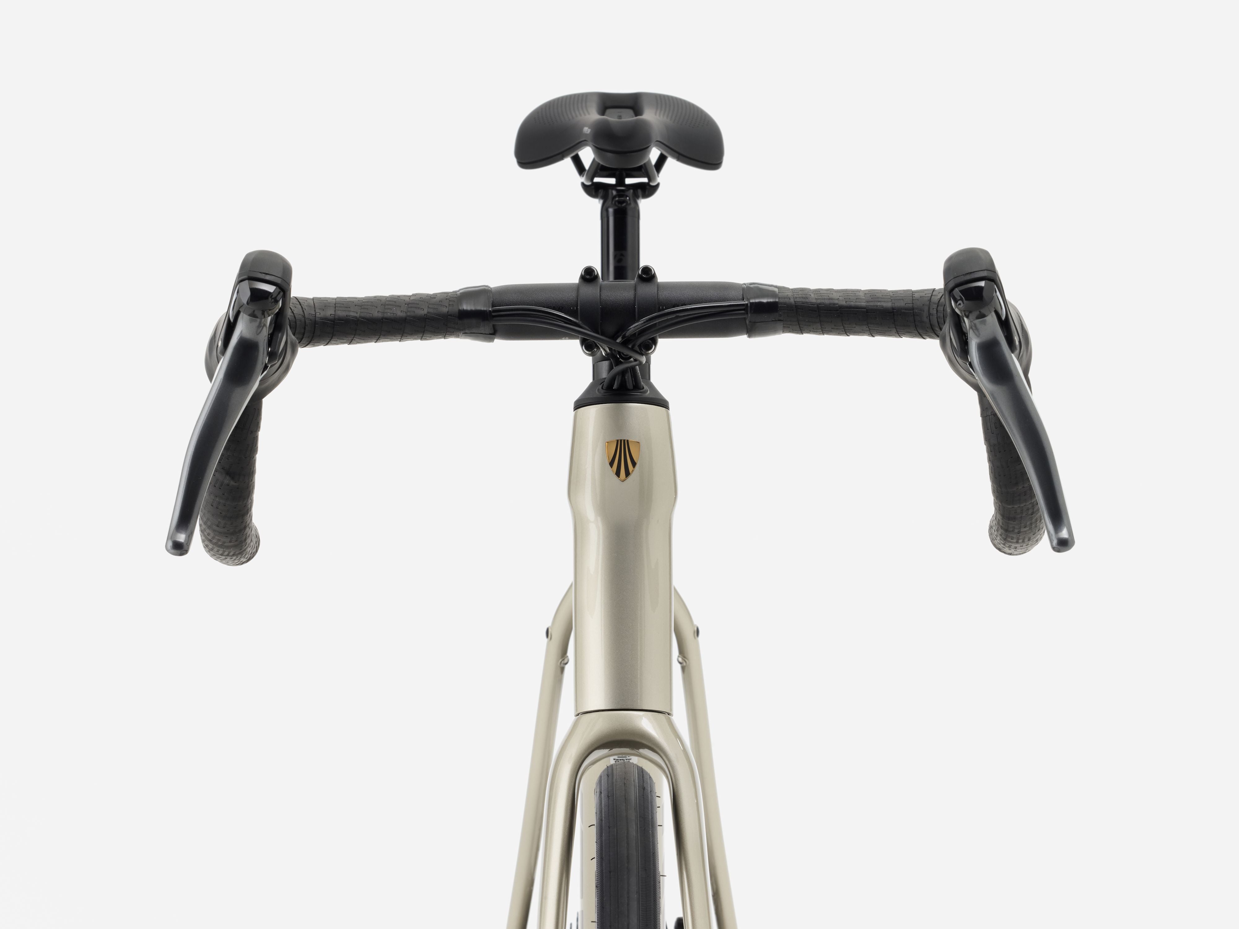 Domane AL 2 Gen 4