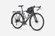 Domane AL 2 Gen 4