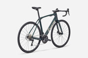 Domane SL 5 Gen 4