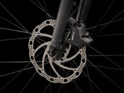 Trek Dual Sport+ 2