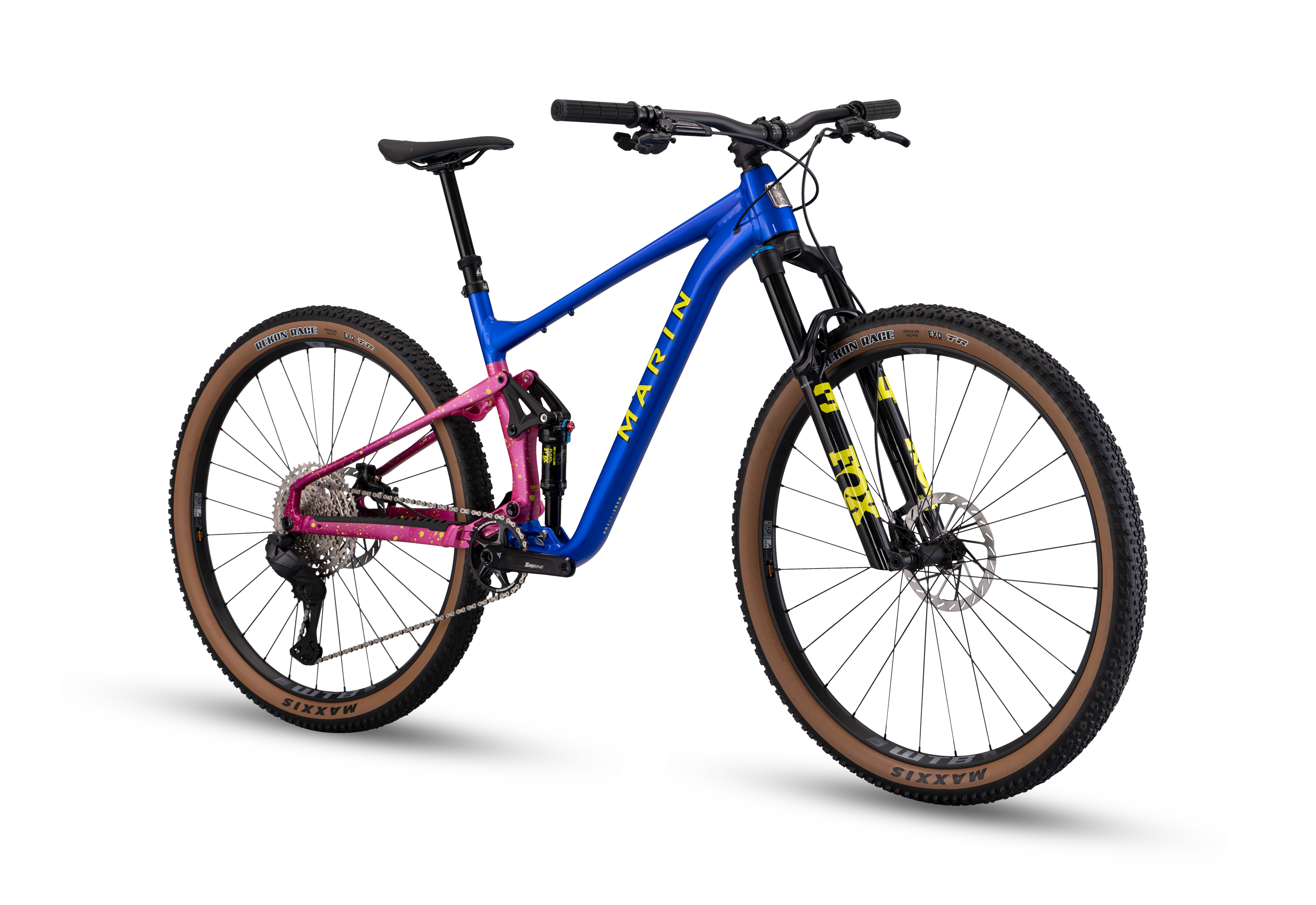 2026 TAM XR