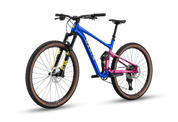 2026 TAM XR