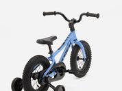Precaliber 12"