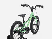 Precaliber 16" Freewheel