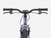 Precaliber 20" Freewheel
