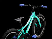 Precaliber 20 Freewheel