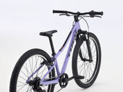 Precaliber 24" Suspension