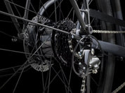 Trek Verve+ 1 LT Lowstep