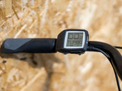 Trek Verve+ 1