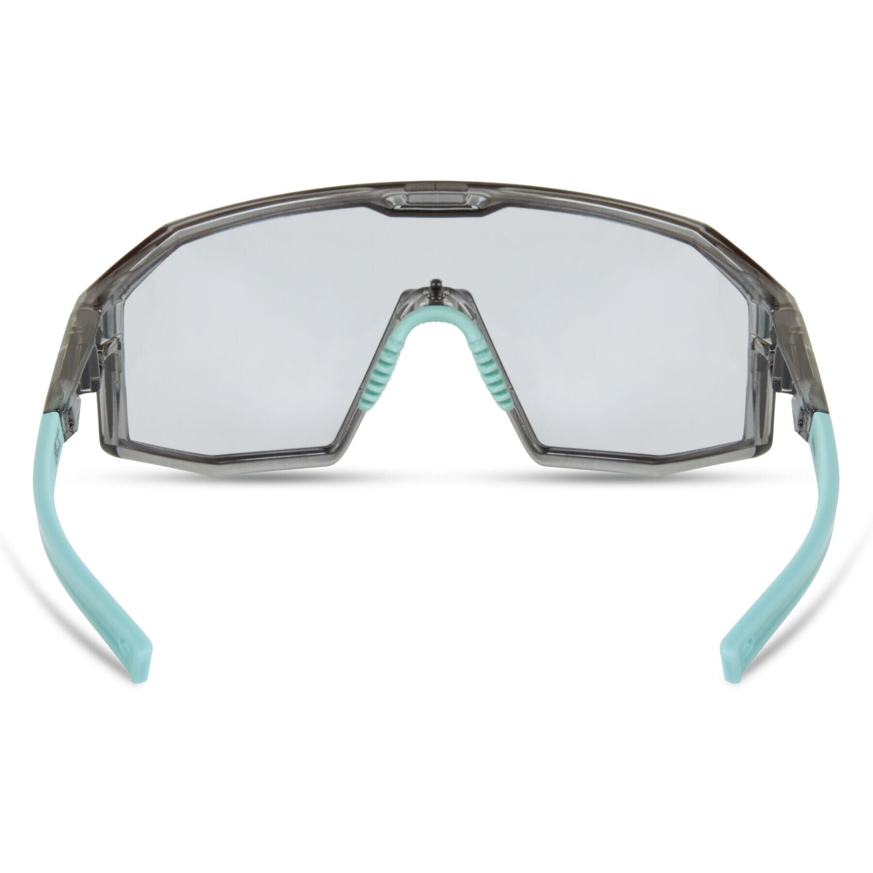 Enigma Sunglasses - crystal gloss smoke / photochromic lens