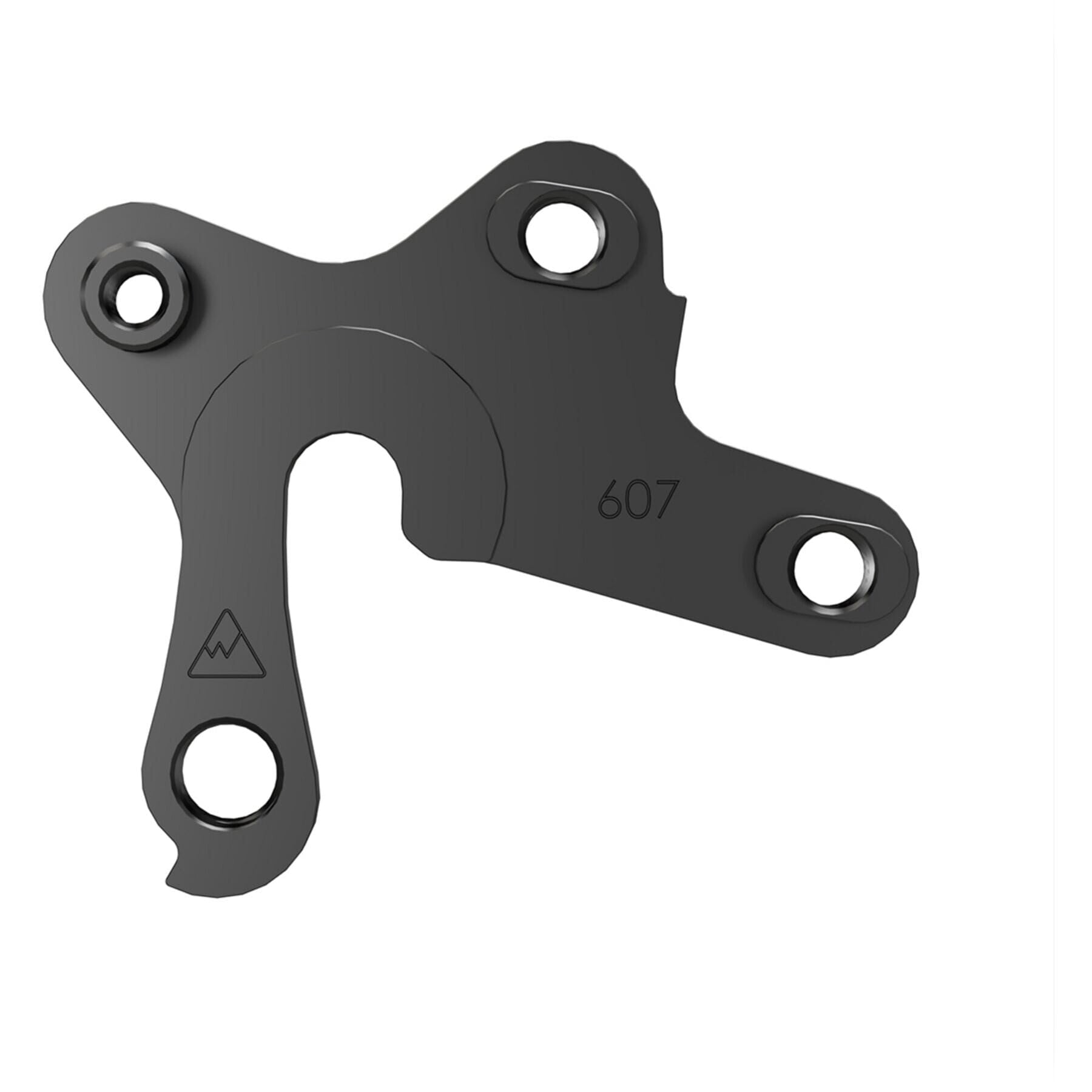 Replaceable Derailleur Hanger / Dropout 607