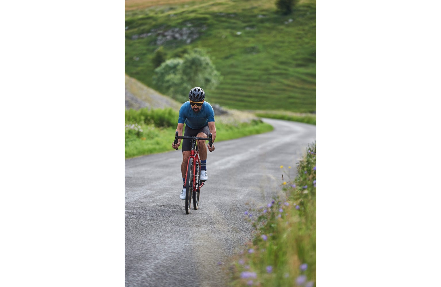 Genesis Equilibrium Disc