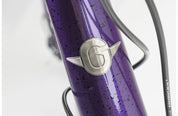 Genesis Fugio 10