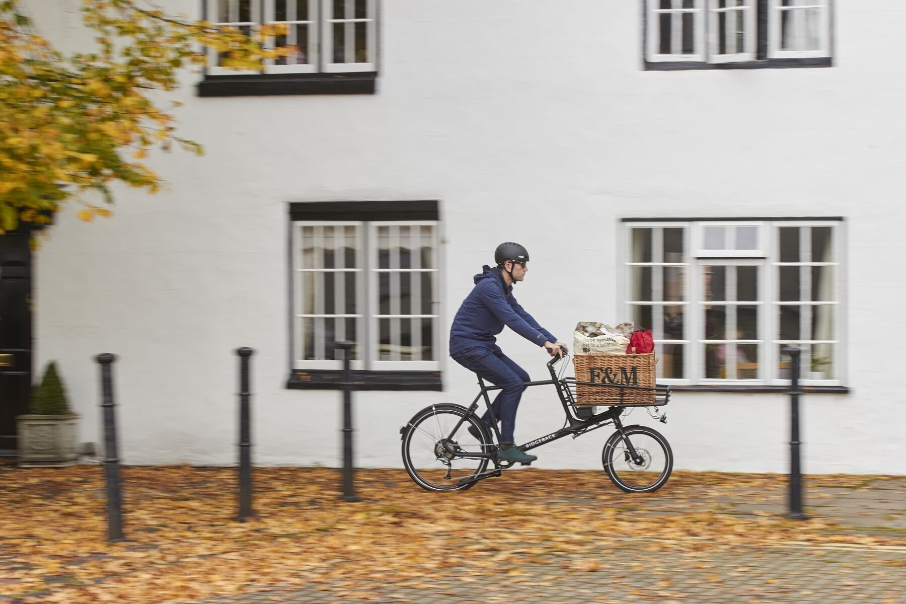 Ridgeback Butcher – Substance Cycles - Main Image