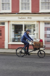 Ridgeback Butcher