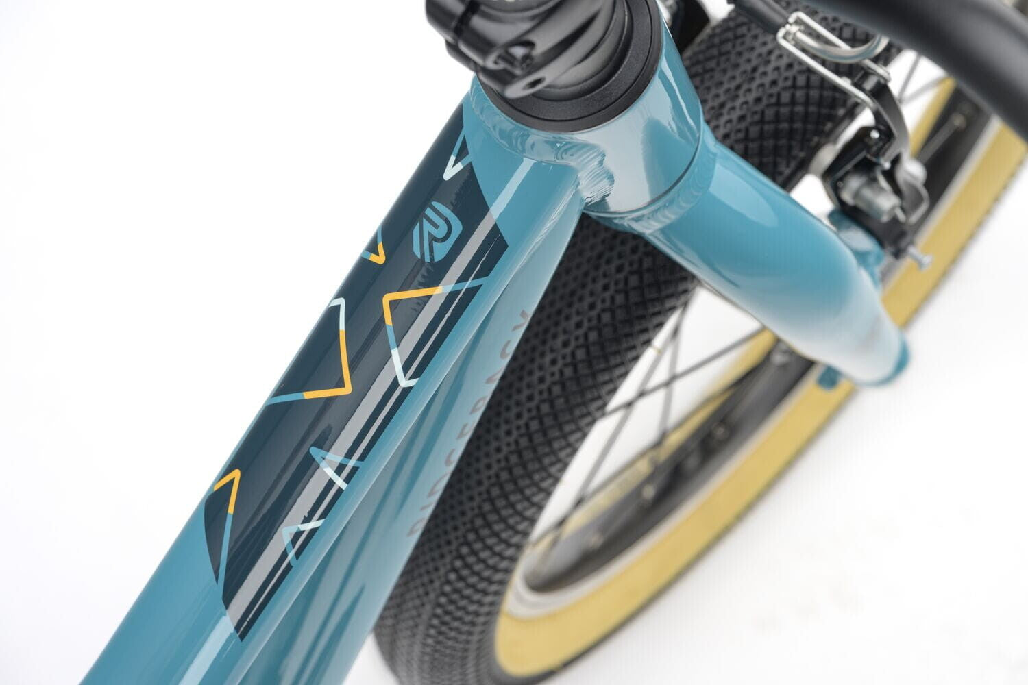 Ridgeback Dimension 16