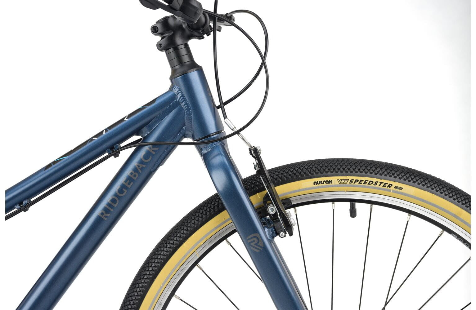 Ridgeback Dimension 27.5