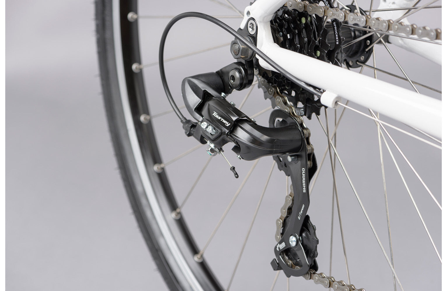 Ridgeback Motion Open Frame