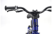 Ridgeback MX14