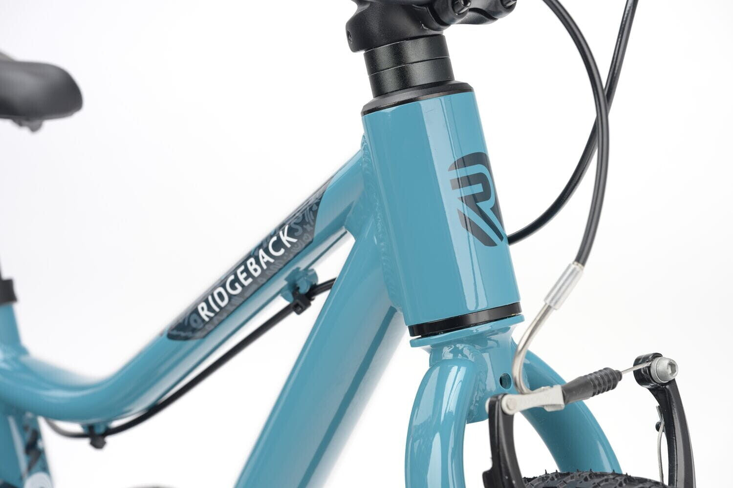 Ridgeback MX14