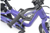 Ridgeback MX16