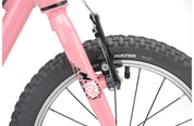 Ridgeback MX16