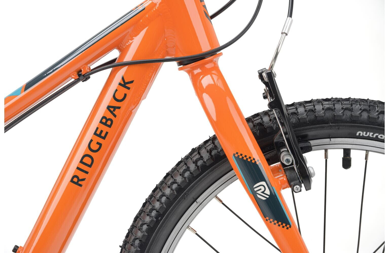 Ridgeback MX20