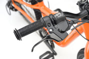 Ridgeback MX20