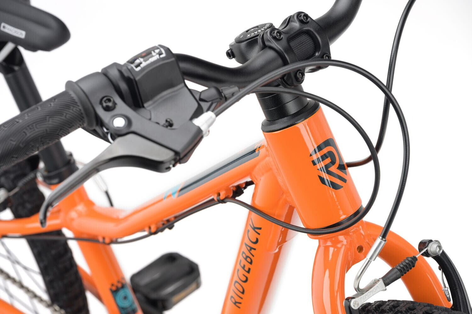 Ridgeback MX20
