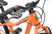 Ridgeback MX20