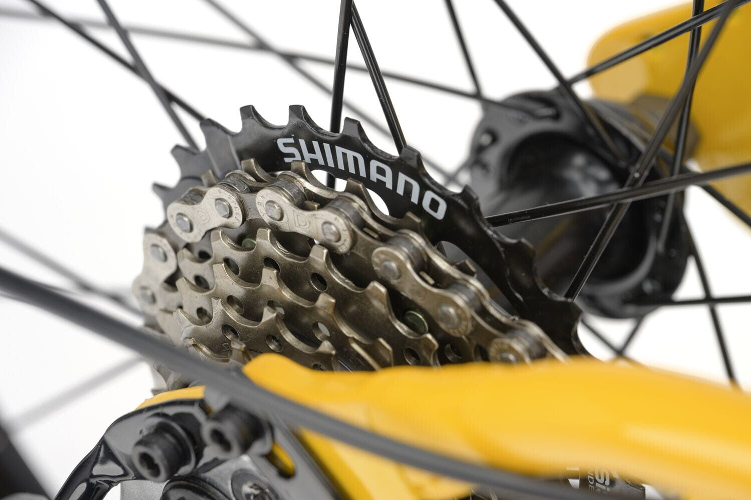 Ridgeback MX20