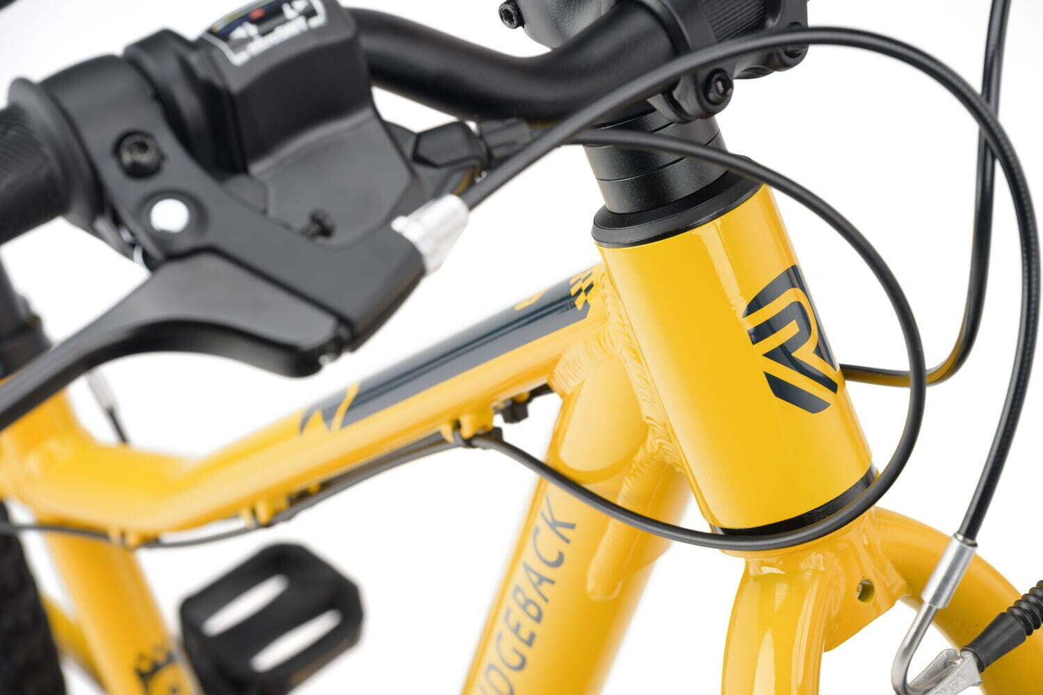 Ridgeback MX20