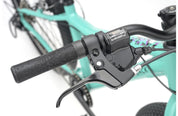 Ridgeback MX24