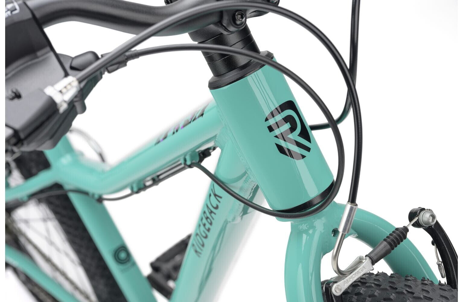 Ridgeback MX24