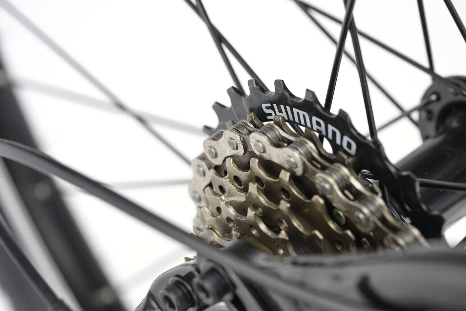 Ridgeback MX24