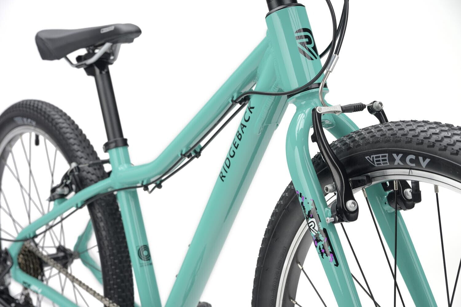Ridgeback MX24