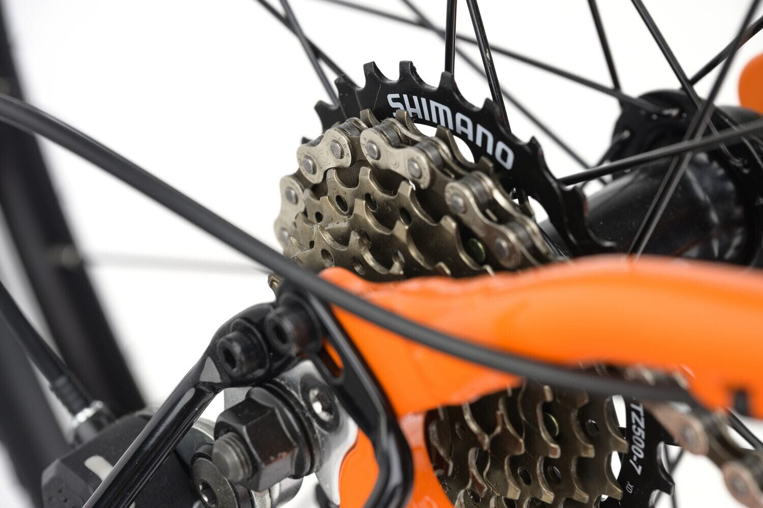 Ridgeback MX24