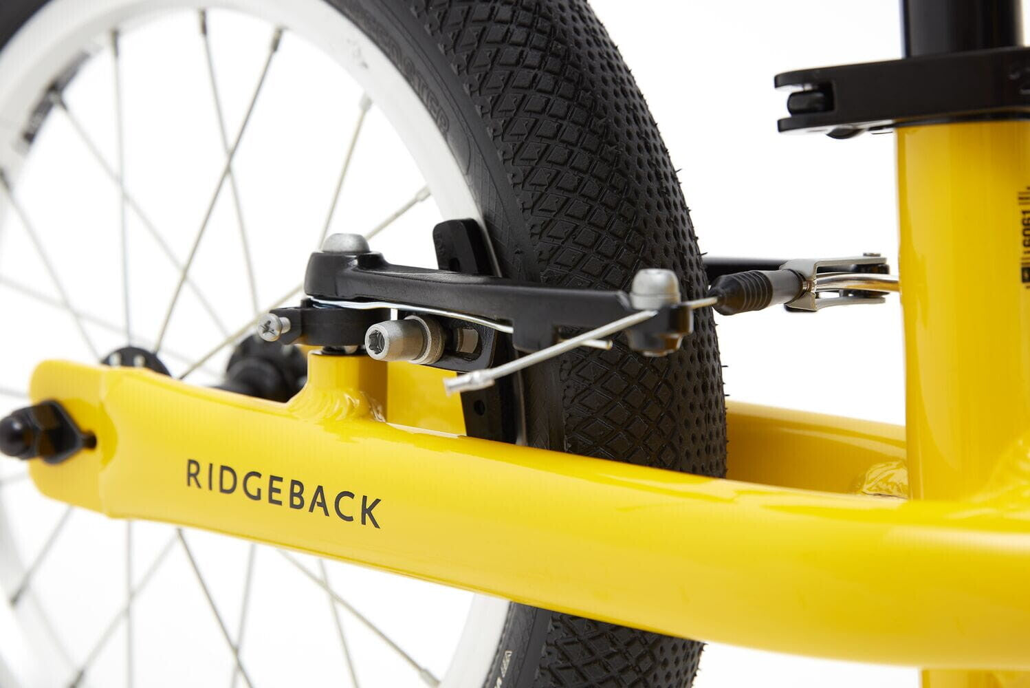 Ridgeback Scoot XL