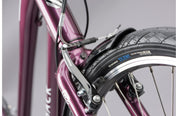 Ridgeback Speed Open Frame